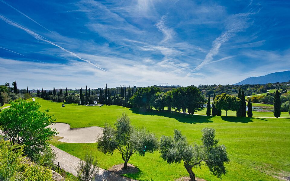 newEstepona_Flamingo_130_Galerie_17