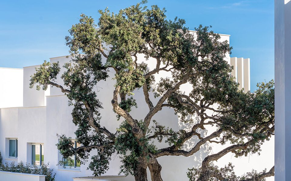 newEstepona_La-Finca-Sotogrande_Galerie-26